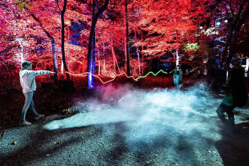 Two people in a forest at the Forbidden Forest Experience, playfully aiming wands at each other under glowing lights