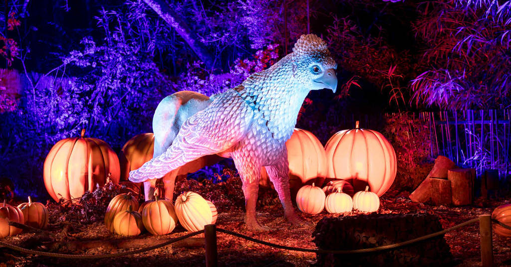 Hippogriff at Harry Potter Forbidden Forest Experience