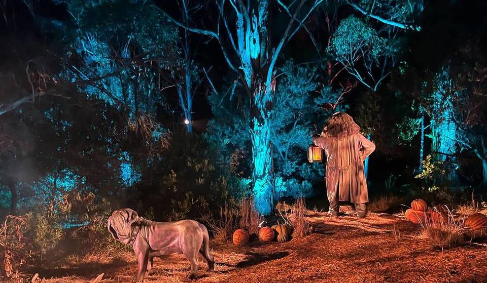 9 Cinematic Experiences For Film And TV Lovers To Enjoy In Chicago