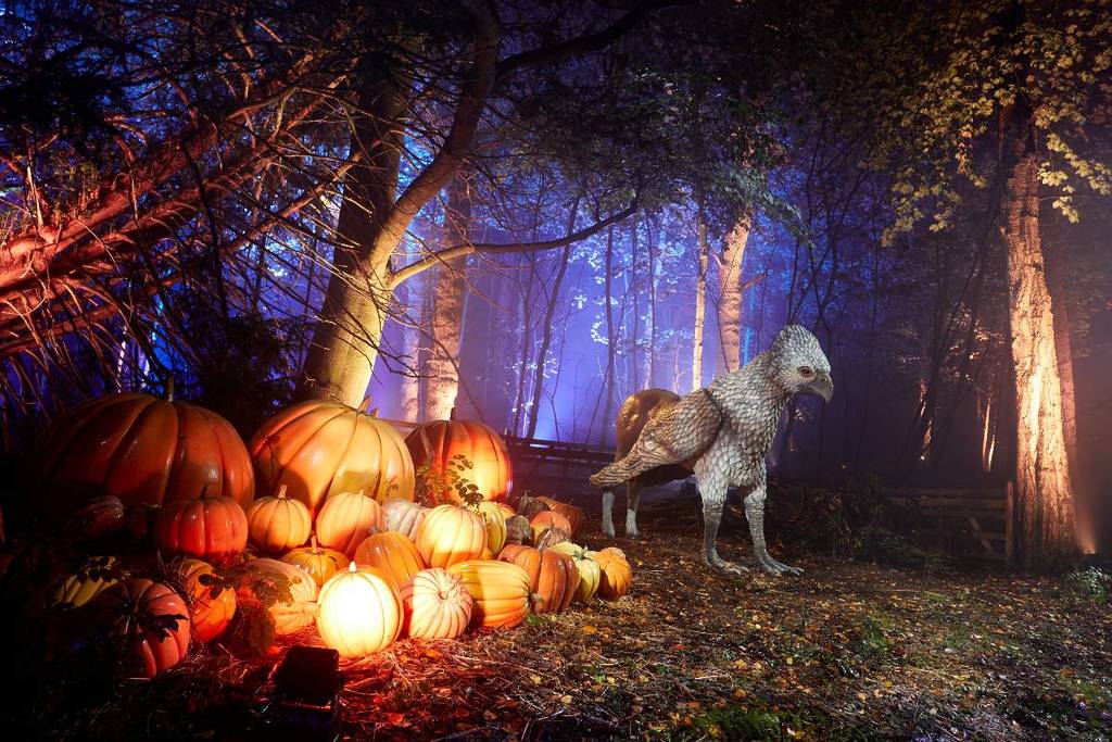 Harry Potter: Forbidden Forest Experience
