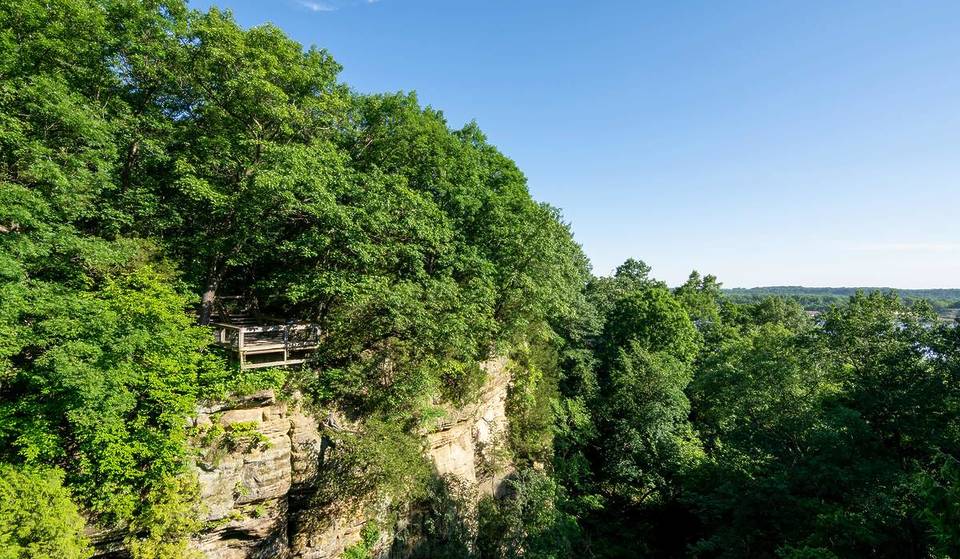 This Dreamy New Treehouse Resort Just Opened 90 Minutes From Chicago