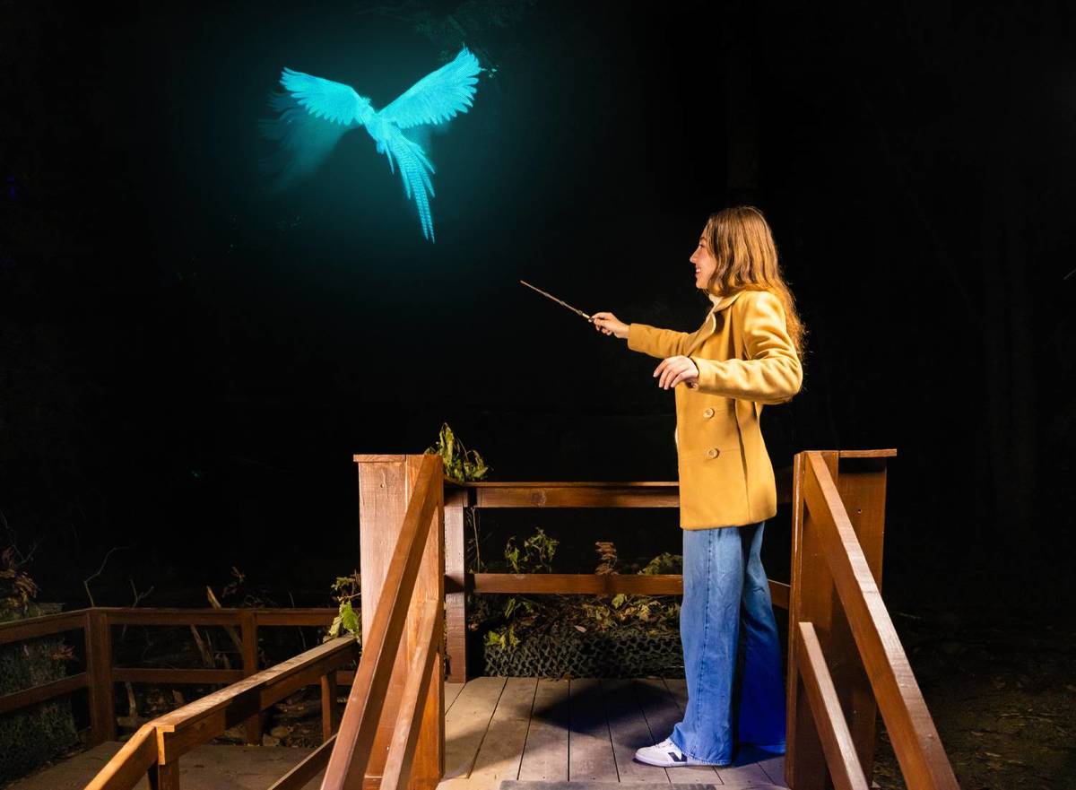 Harry Potter: Forbidden Forest Experience