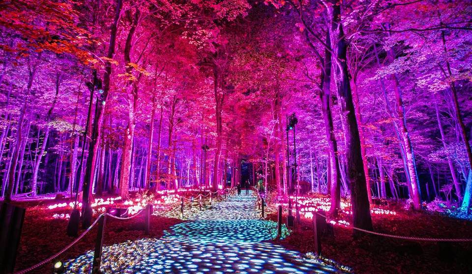 11 Magical Winter Getaways The Kids Will Love Near Chicago – From Hallmark-Inspired Towns Straight Out Of A Snow Globe To An Enchanting Forbidden Forest