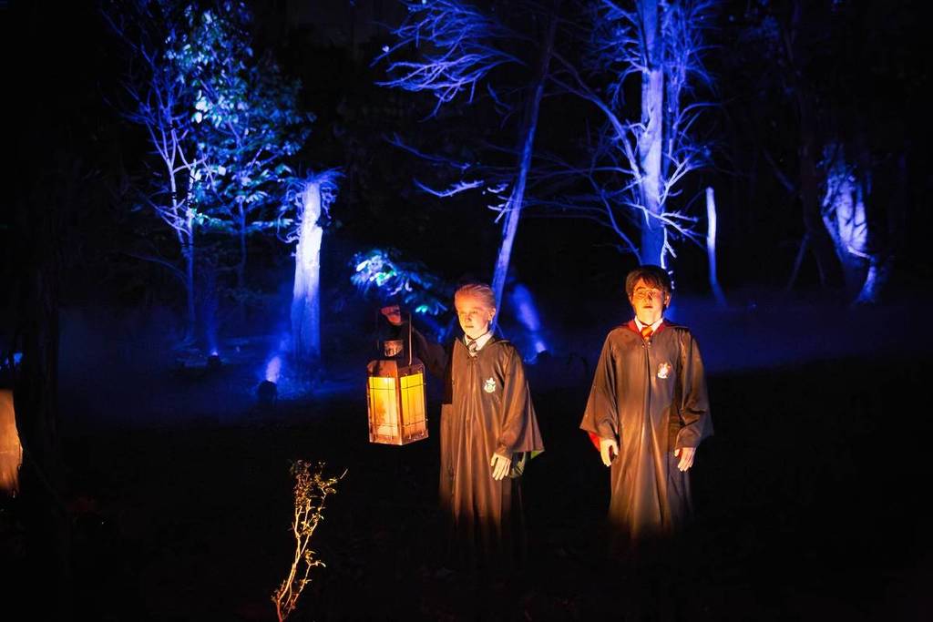 Forbidden Forest Experience