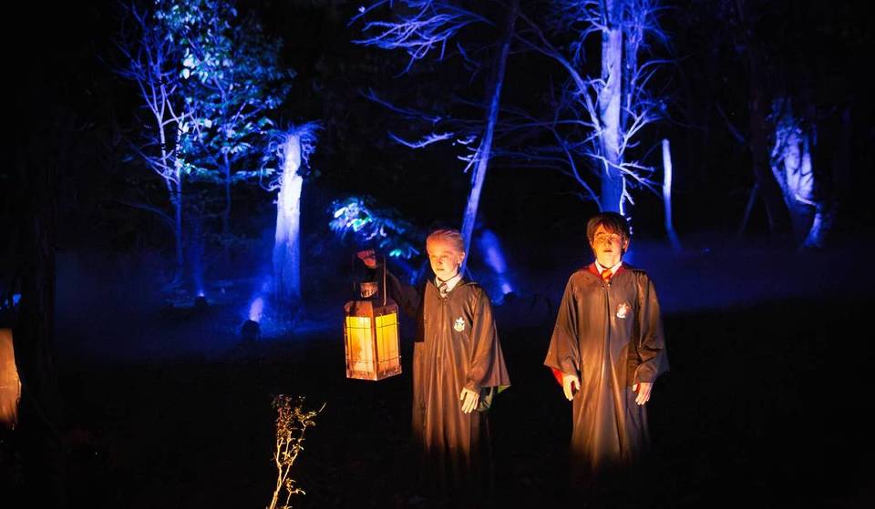 30 Fun Things To Do With Kids In Chicago This Winter