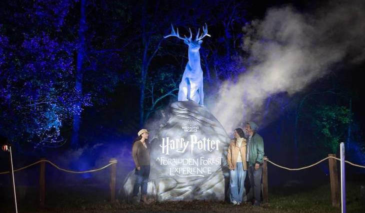Todo lo que se puede esperar del Bosque Prohibido de Harry Potter en Illinois este invierno