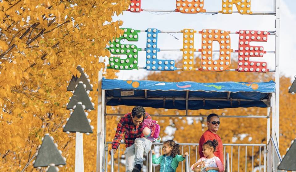 What’s new at the Lincoln Park Zoo: Fall Fest, plus meet the newest monkey resident
