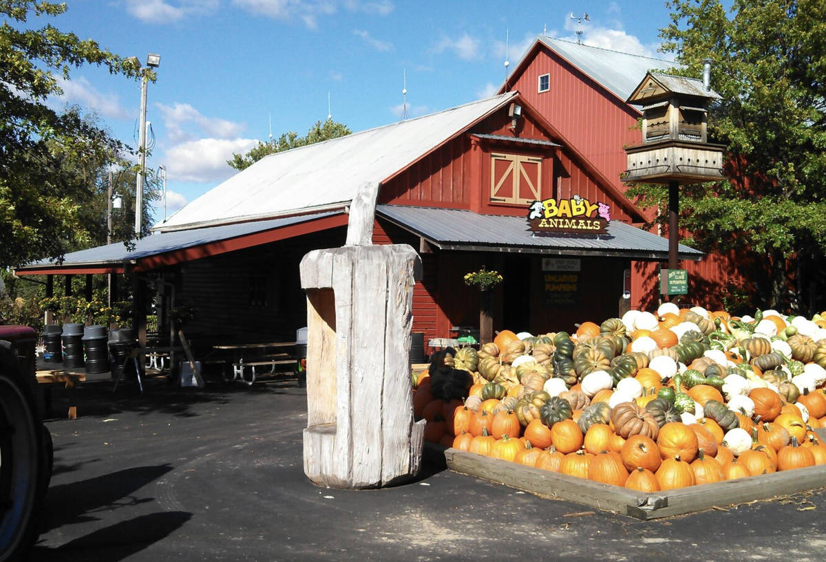 Bengston's Fall Fest