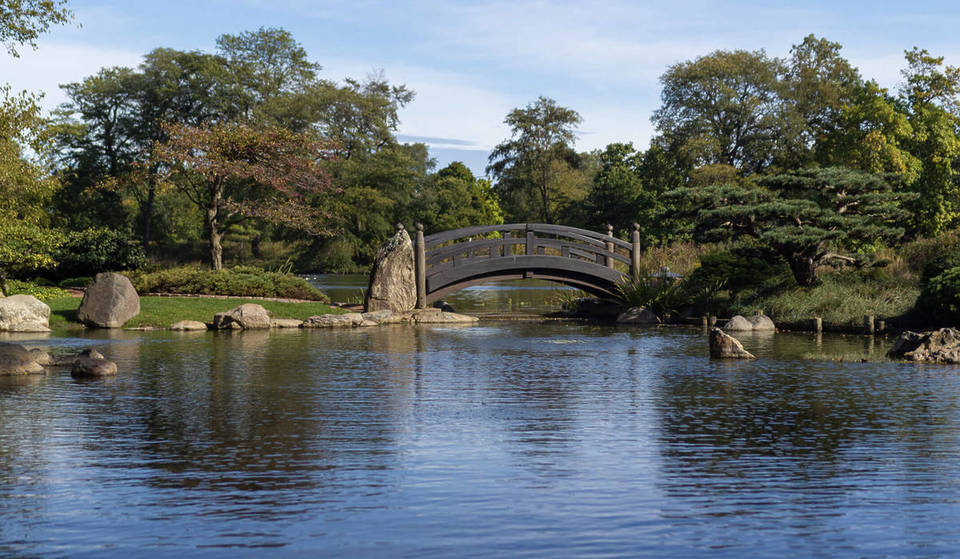 This Chicago Hidden Gem Is Ranked #1 Proposal Spot in the U.S.—And It’s Completely Free