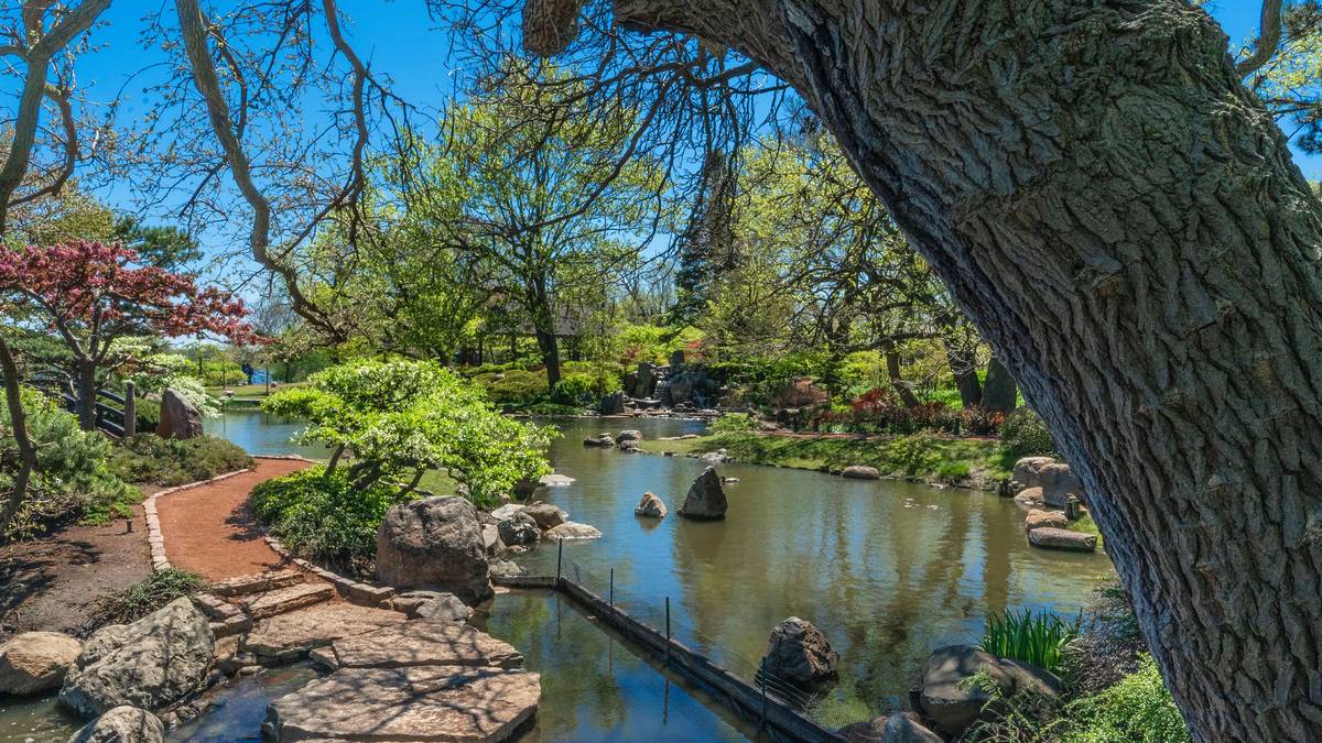 Garden of Phoenix in Jackson Park