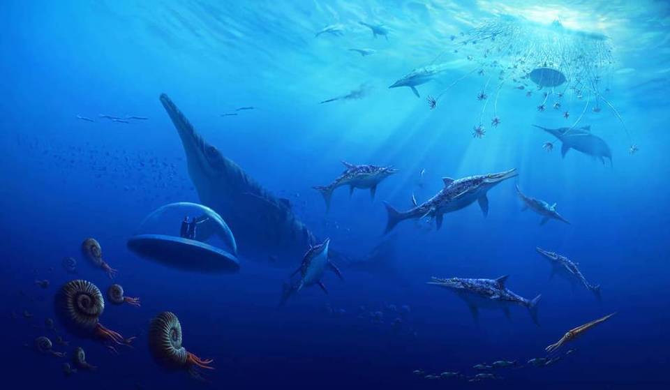 Travel Billions Of Years Back To The Start Of Life At Life Chronicles Near Chicago