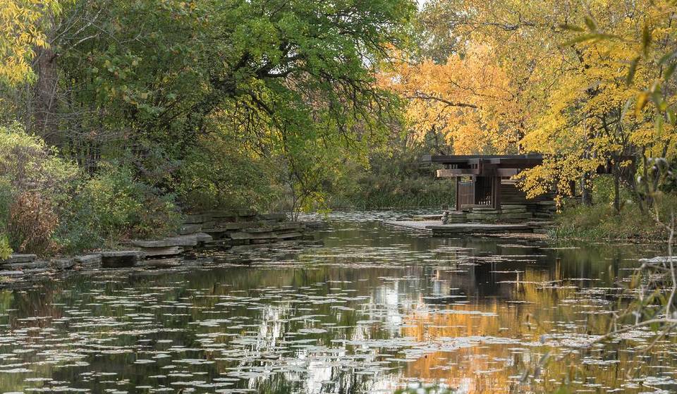 El estanque oculto Lily Pad de Chicago acaba de reabrir tras un cierre de varios años