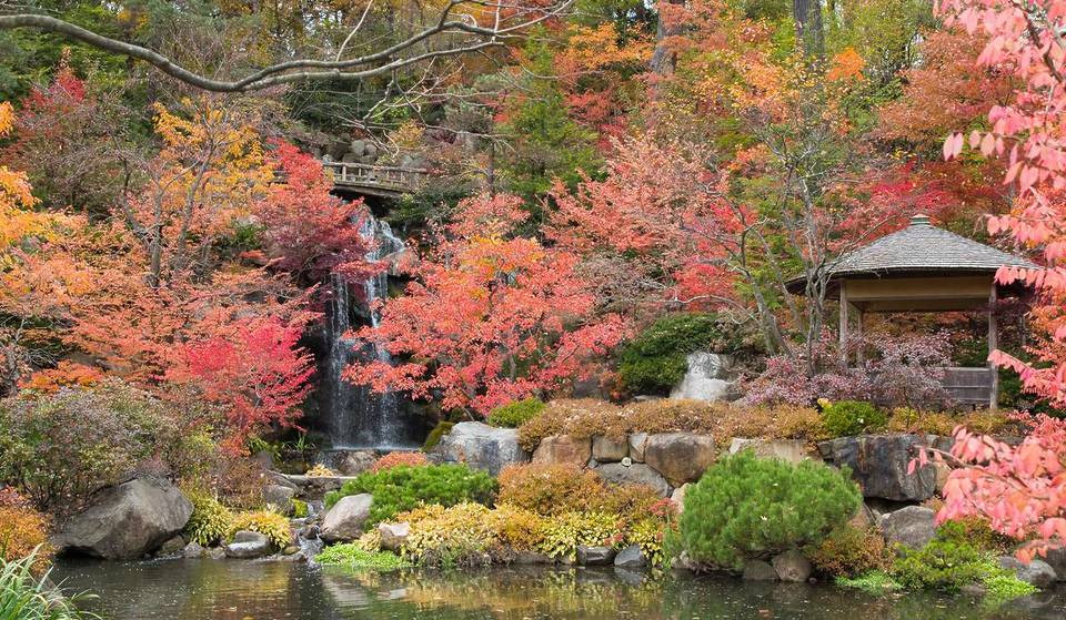 Just 2 hours from Chicago, this 12-acre Japanese garden pairs tranquil fall scenery with rare Frank Lloyd Wright architecture