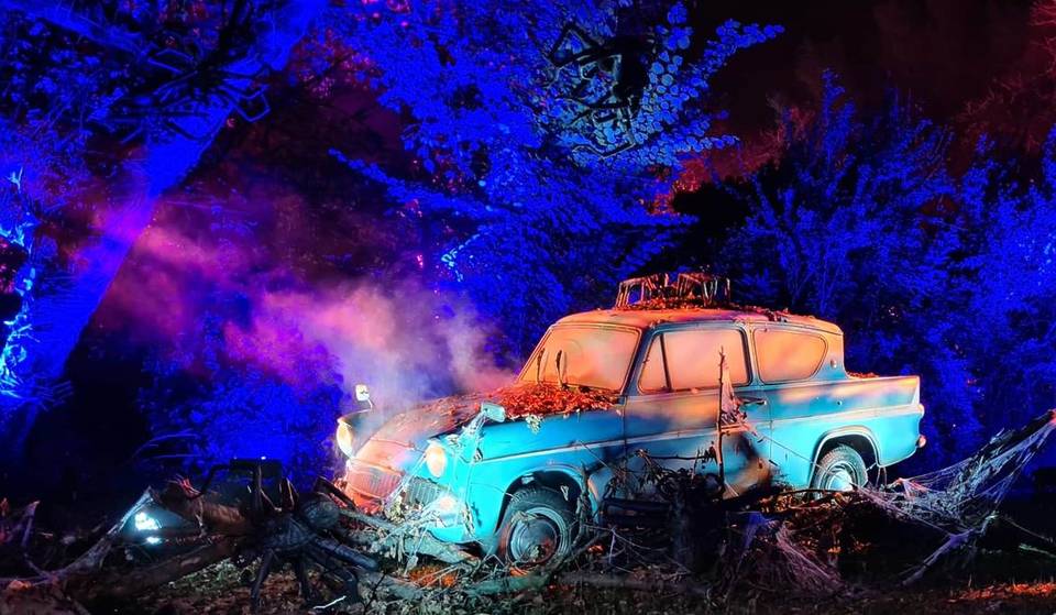 Get Your Wands Ready! The Harry Potter Forbidden Forest Experience Is Officially Open