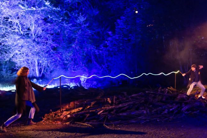 Harry Potter Forbidden Forest experience in Illinois