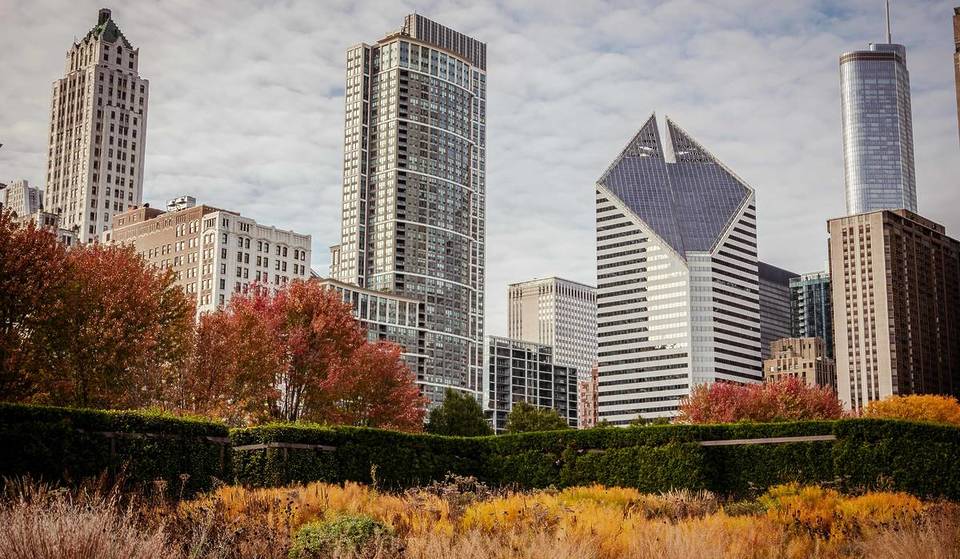 Este mapa interactivo muestra cuándo Chicago verá sus colores otoñales más brillantes