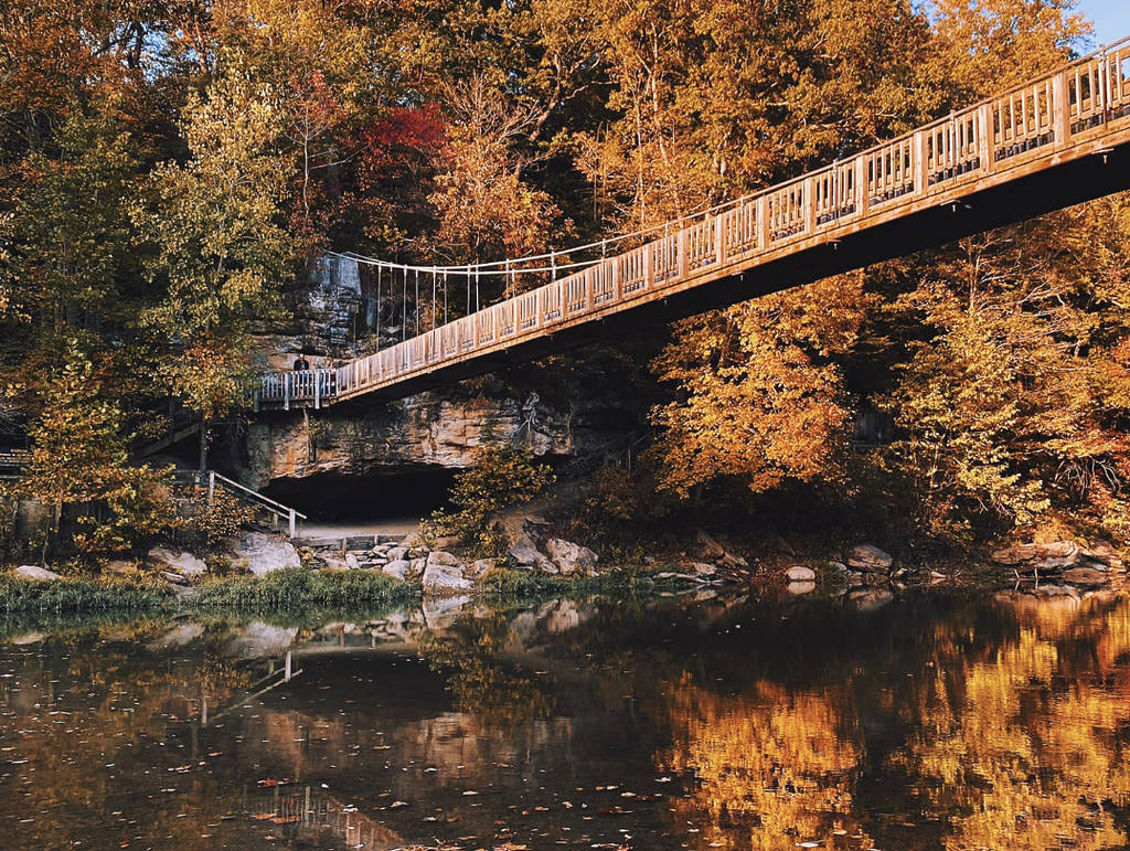 Hiking the Turkey Run Trails