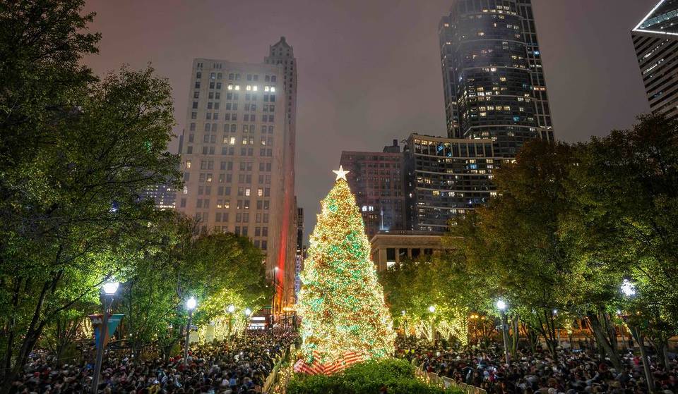 Got a Spare Spruce Tree Lying Around? You Can Submit It to Become Chicago&#8217;s Official 2025 Christmas Tree