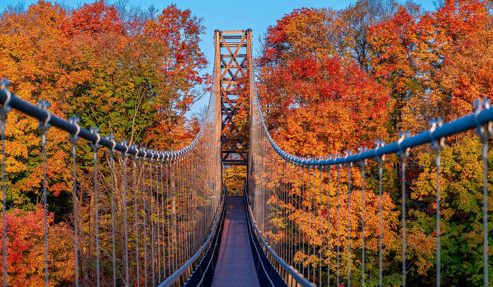 The World’s Longest Timber Tower Suspension Bridge is in the Midwest—And it Offers Breathtaking Fall Views 