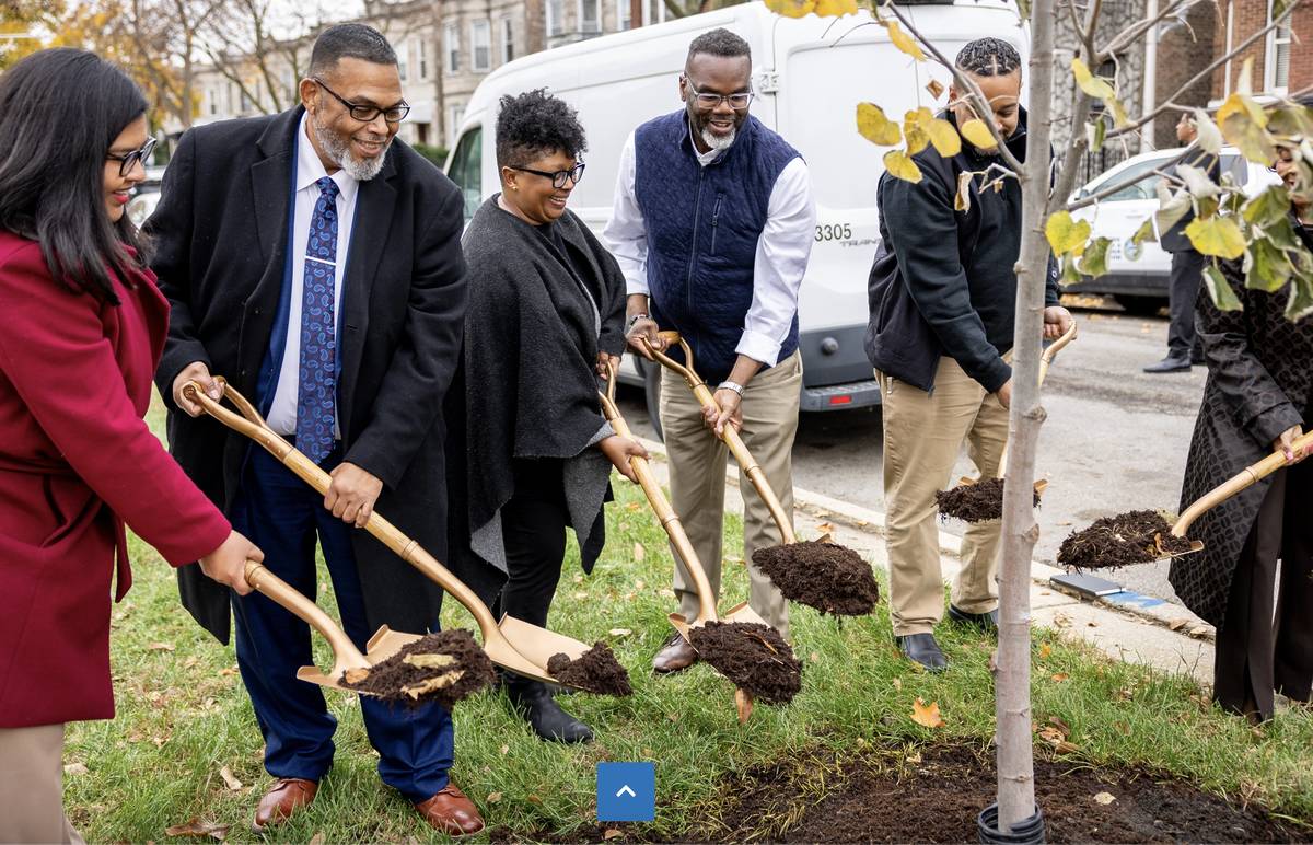Chicago plantará 68.000 árboles en 2025: así mejorará el medio ambiente – Secret Chicago