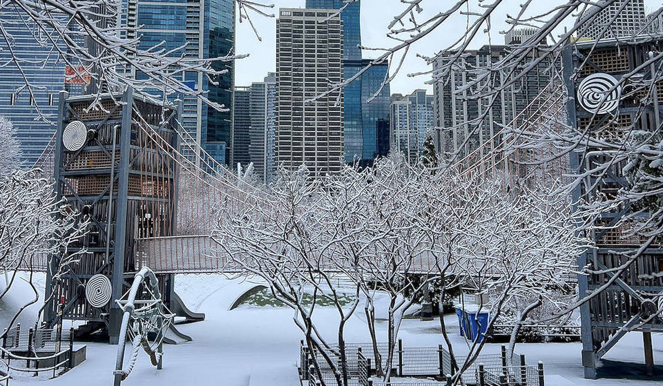 Free for All Ages, Year-Round: This Massive 3-Acre “Enchanted Forest” Play Zone Near the Lakefront Is a Hidden Gem for Families