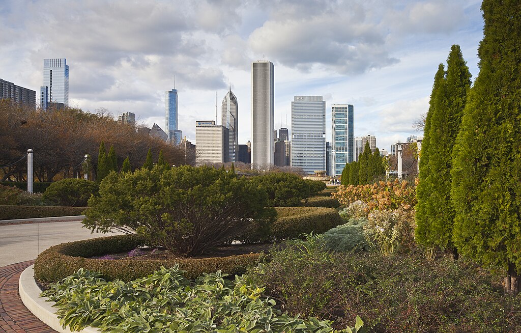 A view of the skyscrapers in the background of Grant Park.