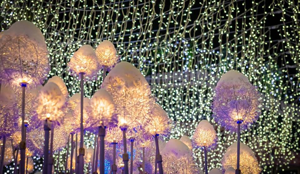 Completamente GRATIS: El mágico país de las maravillas invernal cerca de Chicago con arcos iluminados y un sendero forestal centelleante