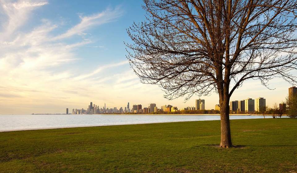 Un gigante mundial del comercio minorista planea un nuevo proyecto en este suburbio de Chicago, que incluirá tiendas de comestibles, restaurantes y mucho más.