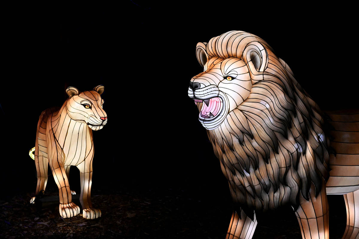 "Glow Wild" lanterns