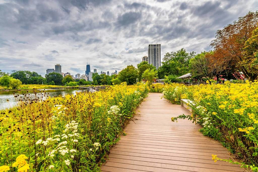 chicago