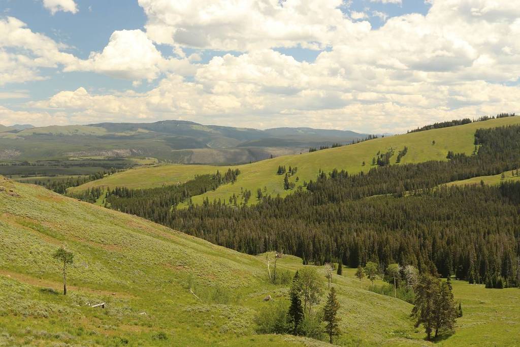 Mountainscape In Yellowstone National Park