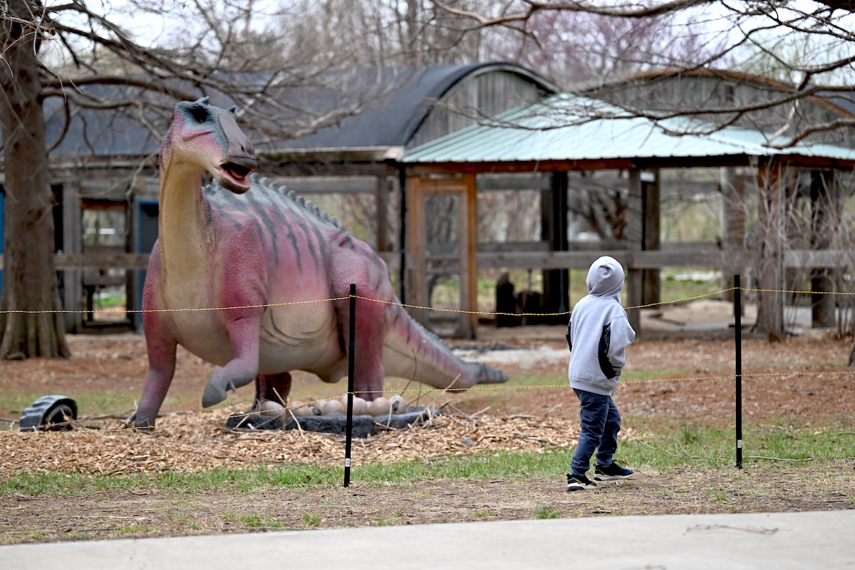 Dinos!