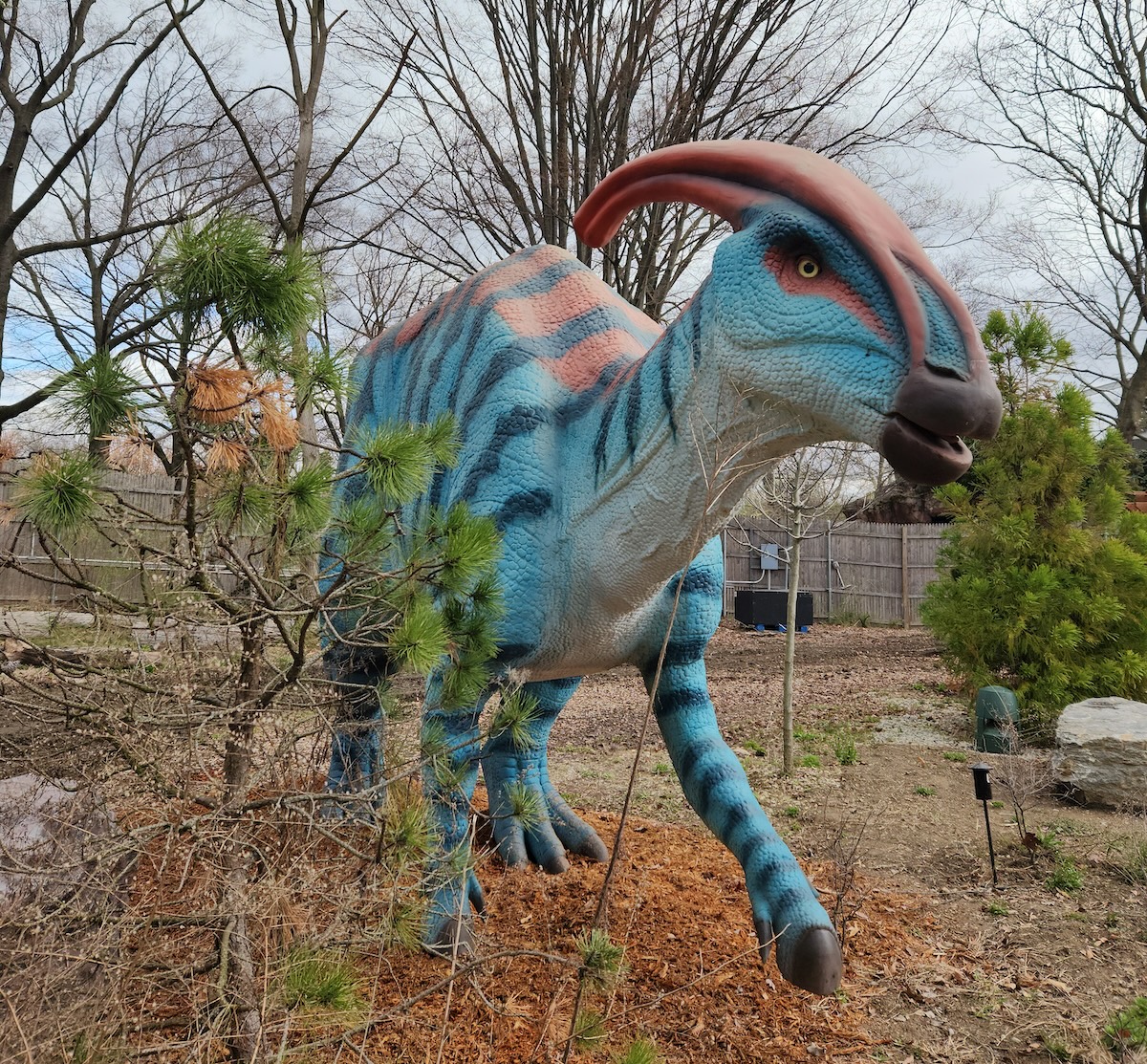 Dinos!