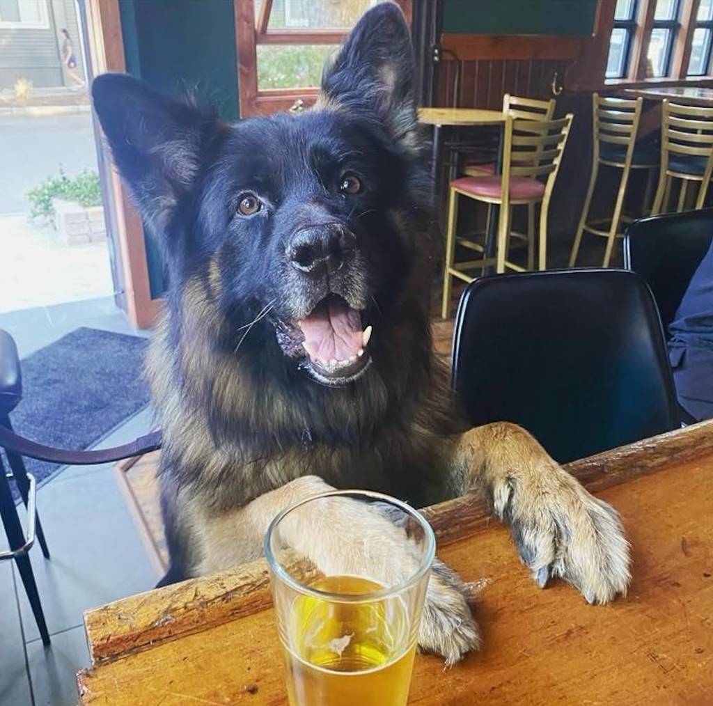 Cody's Public House