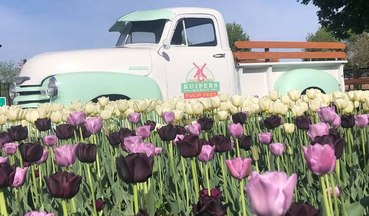 Over 1 Million Tulips Are About To Bloom Near Chicago To Celebrate This Family Farm’s 25th Anniversary