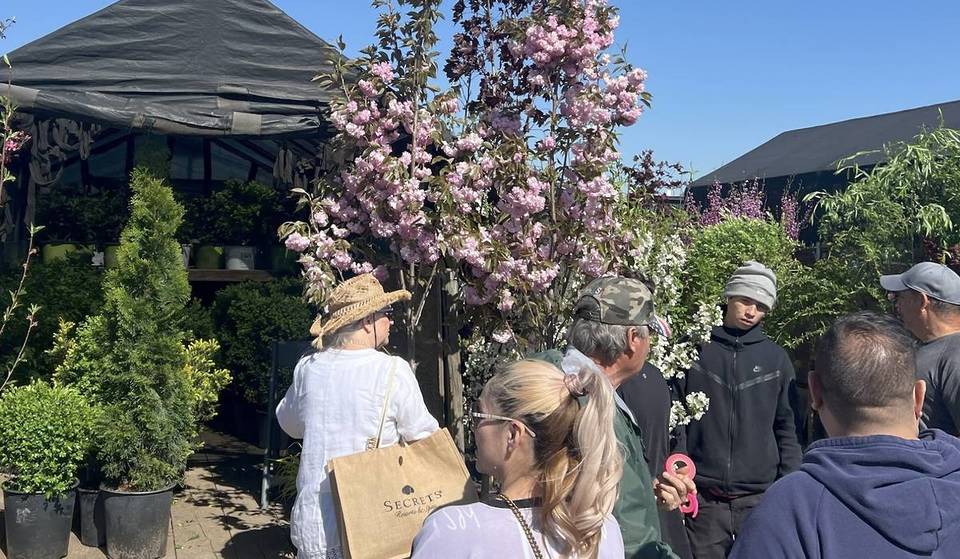 One of Chicagoland’s Largest Flea Markets Just Opened for the Season