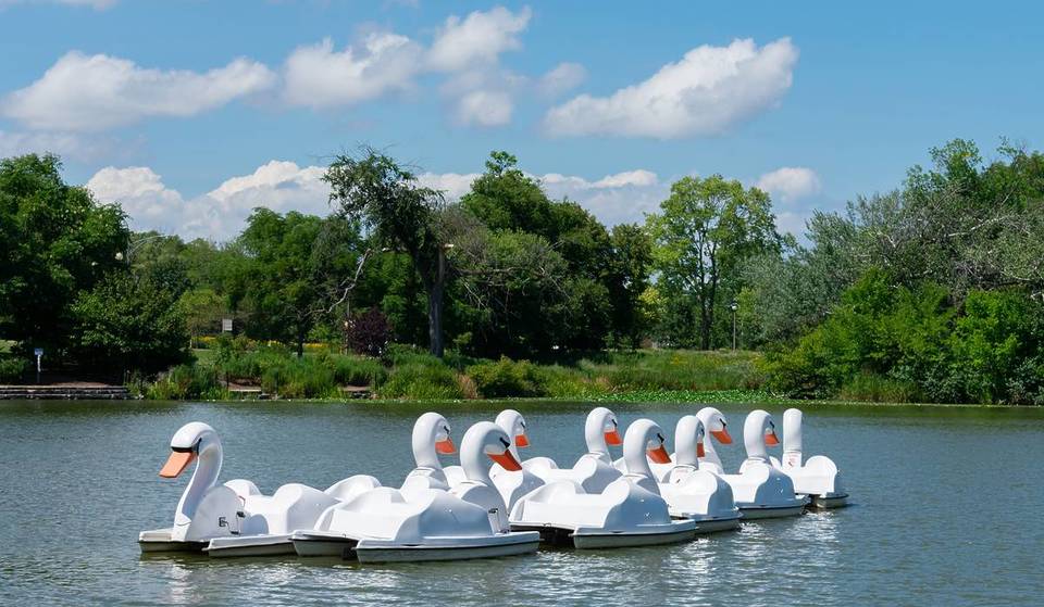 After Fearing A Permanent Closure, Chicago’s Famous Swan Boats And Surrey Bikes Are Officially Relaunching This Summer