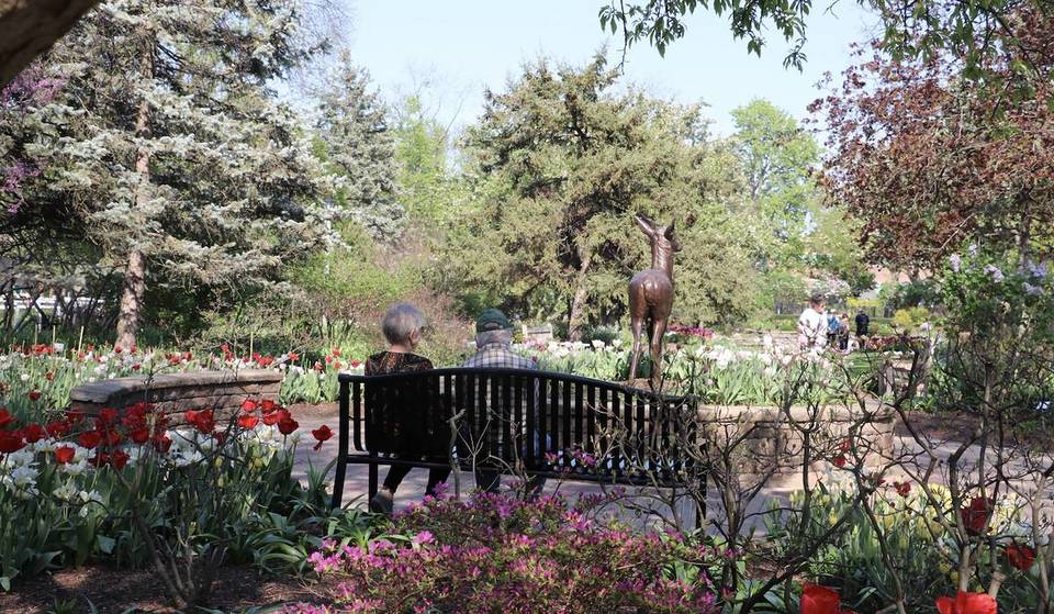Este extenso parque de los alrededores de Chicago alberga 25 000 tulipanes y lilas, y ahora mismo puedes verlos en flor