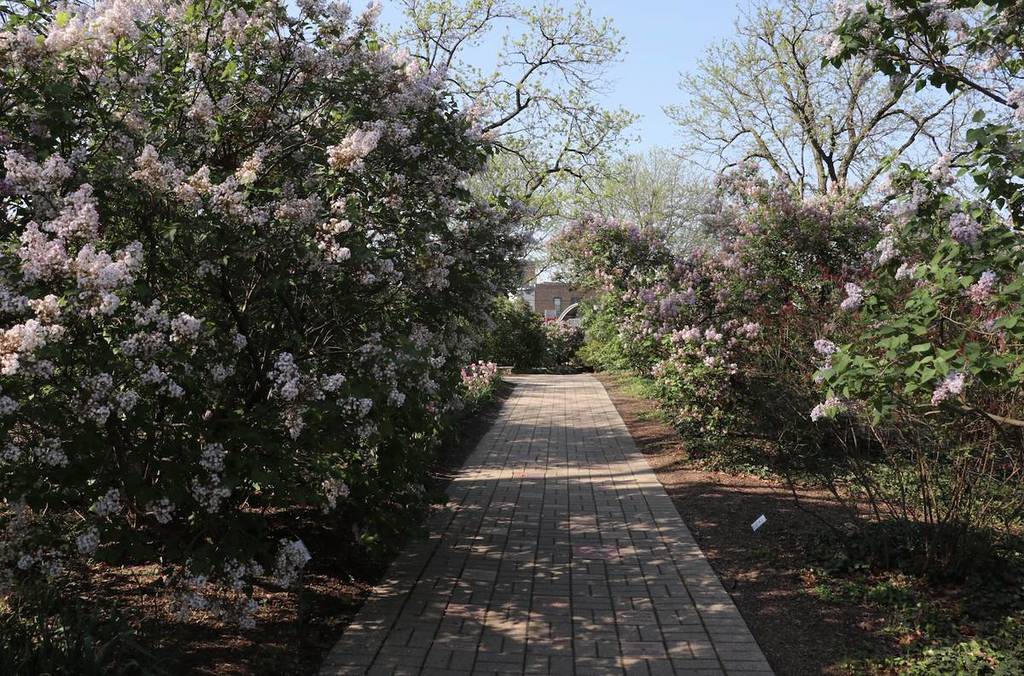Lilacia Park