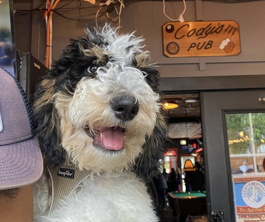 Cody's Public House