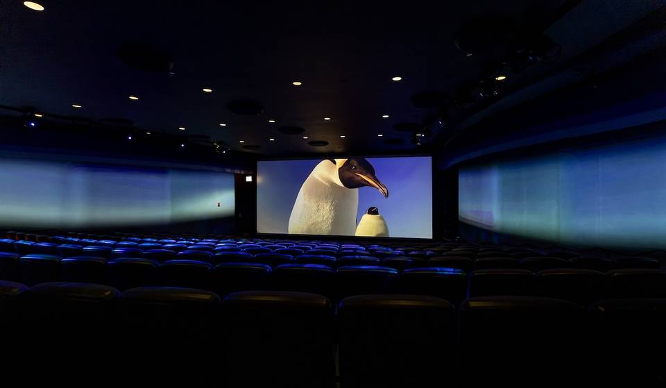 El Acuario Shedd lanza una nueva experiencia cinematográfica inmersiva en 4D