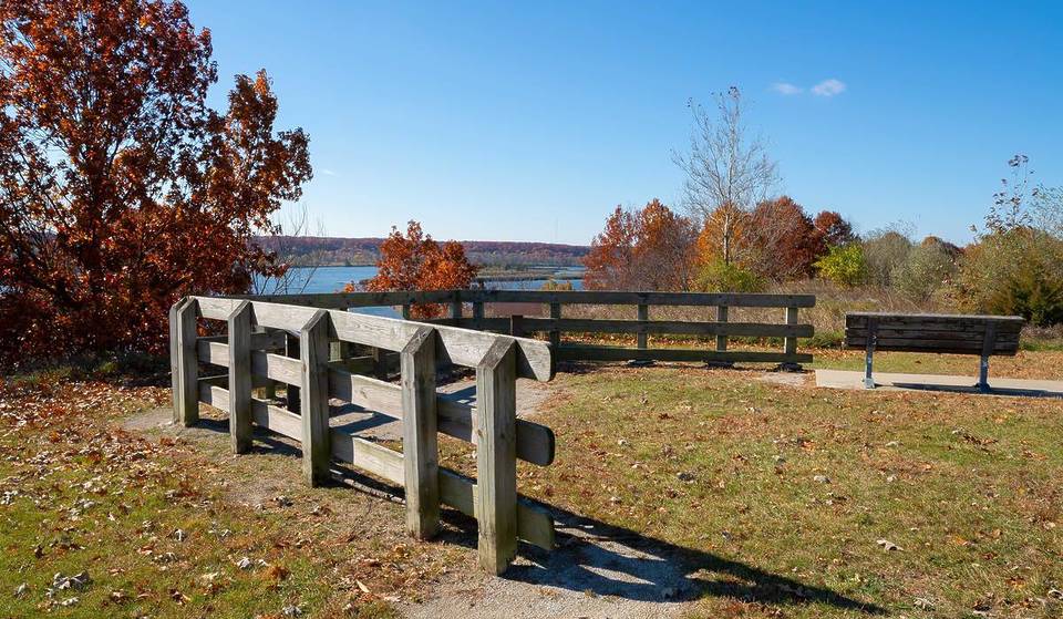 This 2.5-mile river trail in Illinois is a crowd-free alternative to Starved Rock—complete with two resident bison