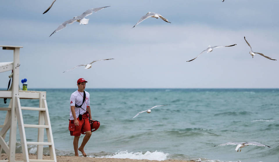 1 hour from Chicago: one of the most beautiful beaches in Illinois is tucked away in a fairytale town