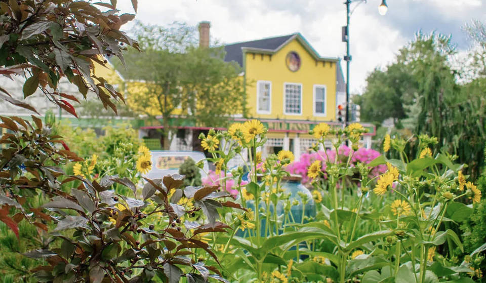 Spanning two full city blocks since 1977, one of Chicago’s oldest plant stores has an entire street cutting right through its backyard