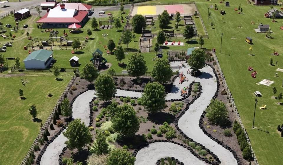 1 hour from Chicago—a massive blueberry festival is back beginning this month