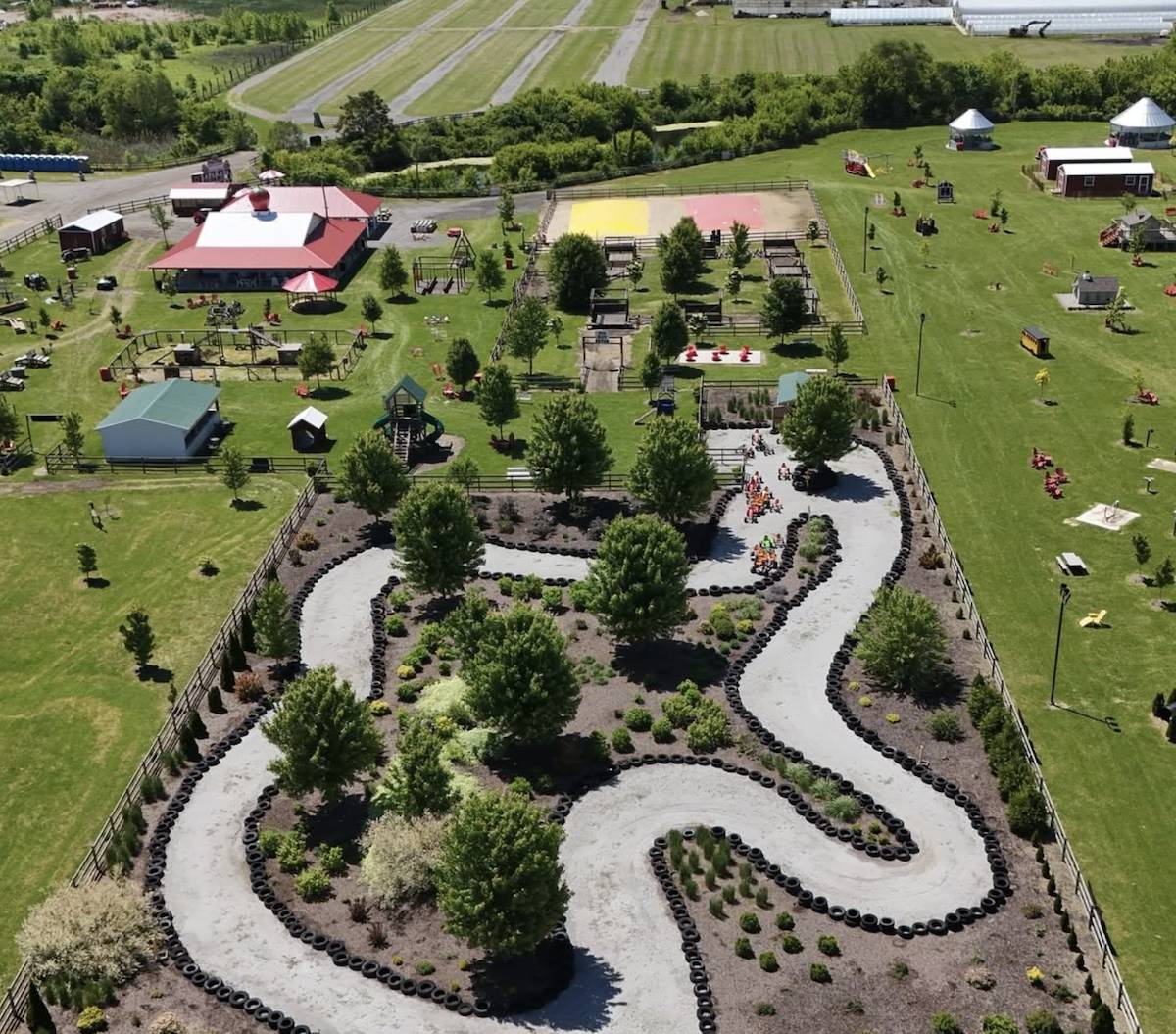 1 hour from Chicago—a massive blueberry festival is back beginning this month