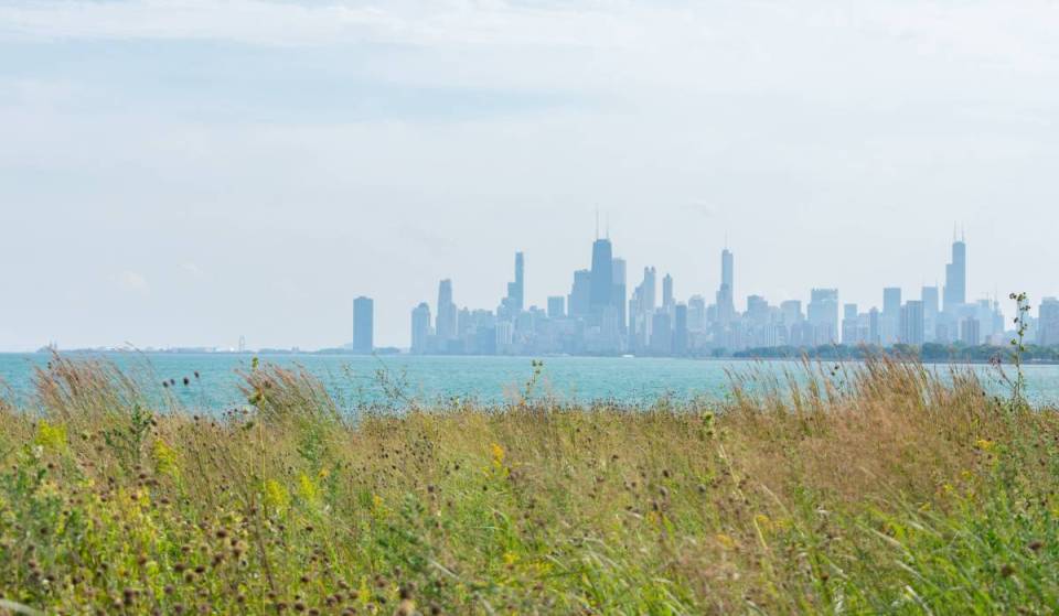 Escondido detrás de los amarres del puerto de Uptown: Chicago esconde un santuario de aves gratuito a orillas del lago, con senderos de tierra y vistas despejadas del perfil urbano del centro de la ciudad
