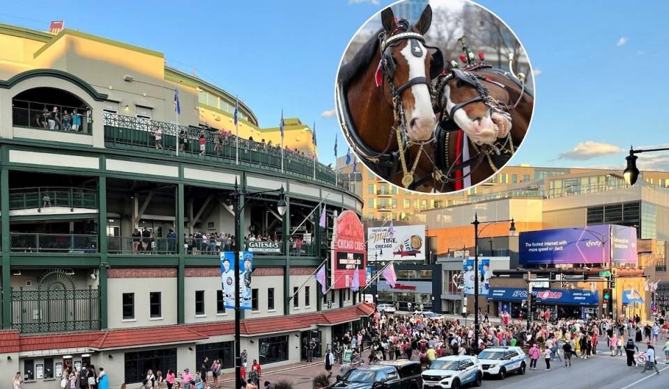 Iconic Budweiser Clydesdales to make appearance at Wrigley Field for Fourth of July