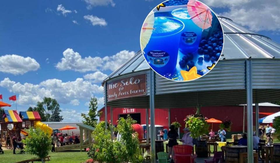 El festival de arándanos más grande de Illinois vuelve el mes que viene, a solo una hora de Chicago