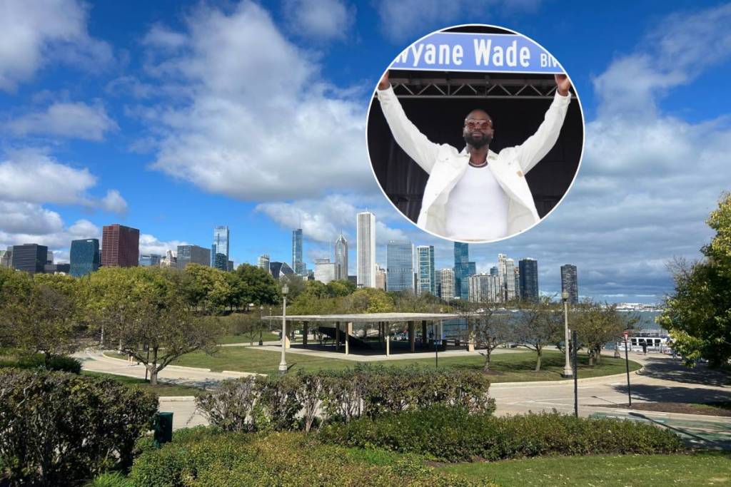 A Chicago suburb just renamed an entire street after NBA icon Dwyane Wade
